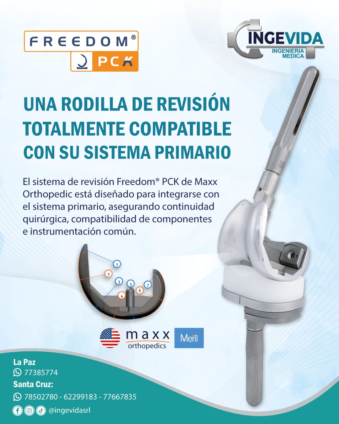 Imagen 2